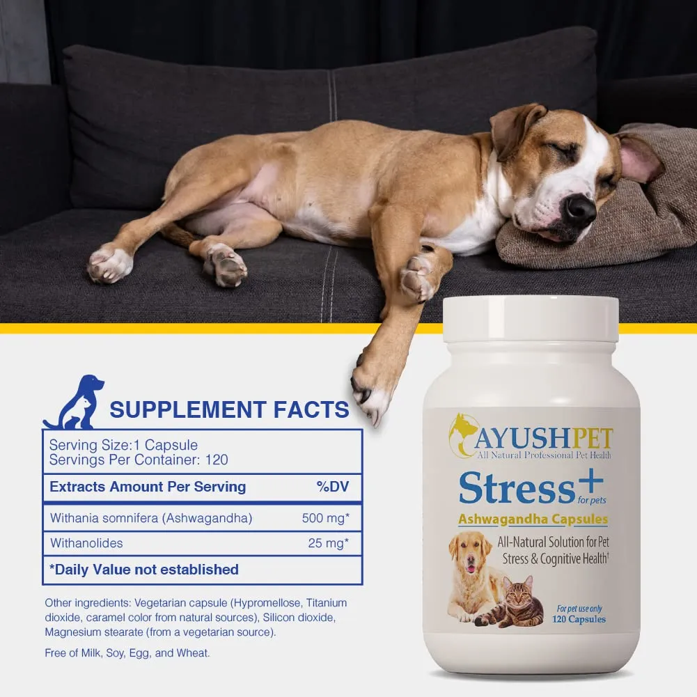 Ayush Pet Stress   Support 120 Capsules