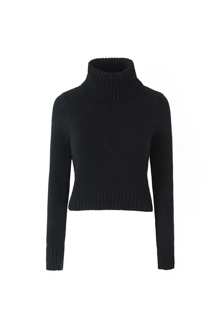 Cozy Turtle Neck Long Sleeve Cinched Waist Ribbed Knit Crop Sweater