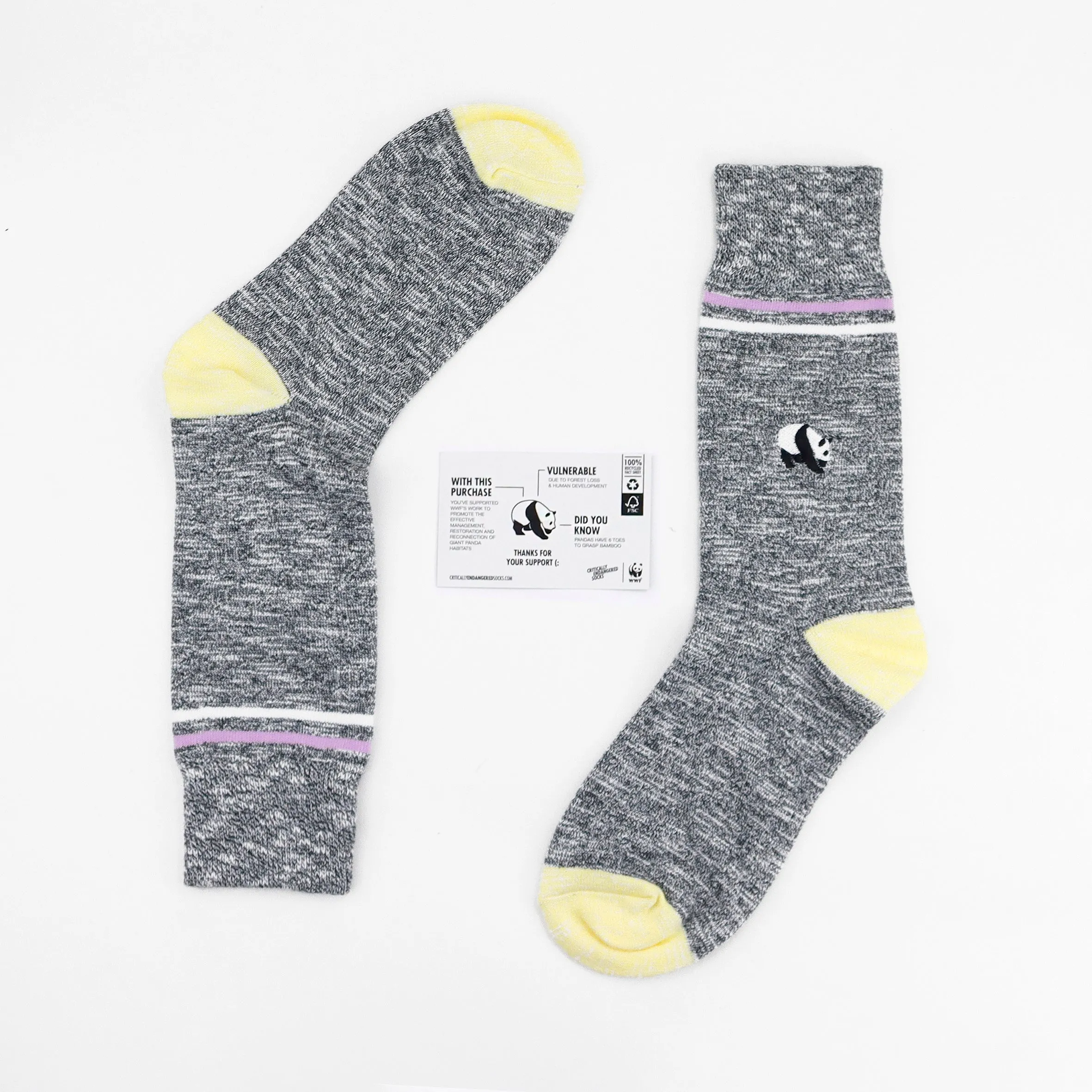 Critically Endangered Adult Speckled Socks - Panda