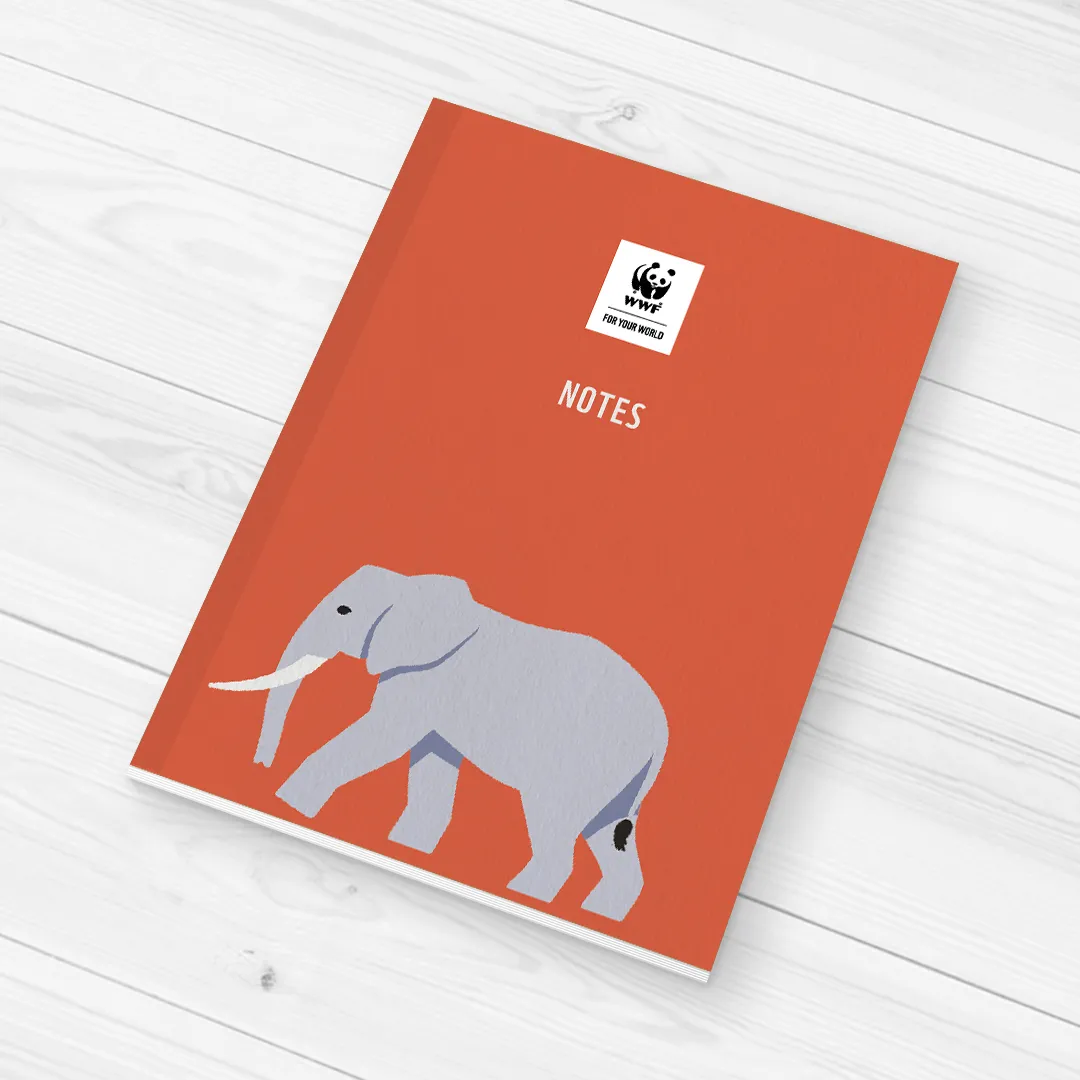 Elephant Gift Set