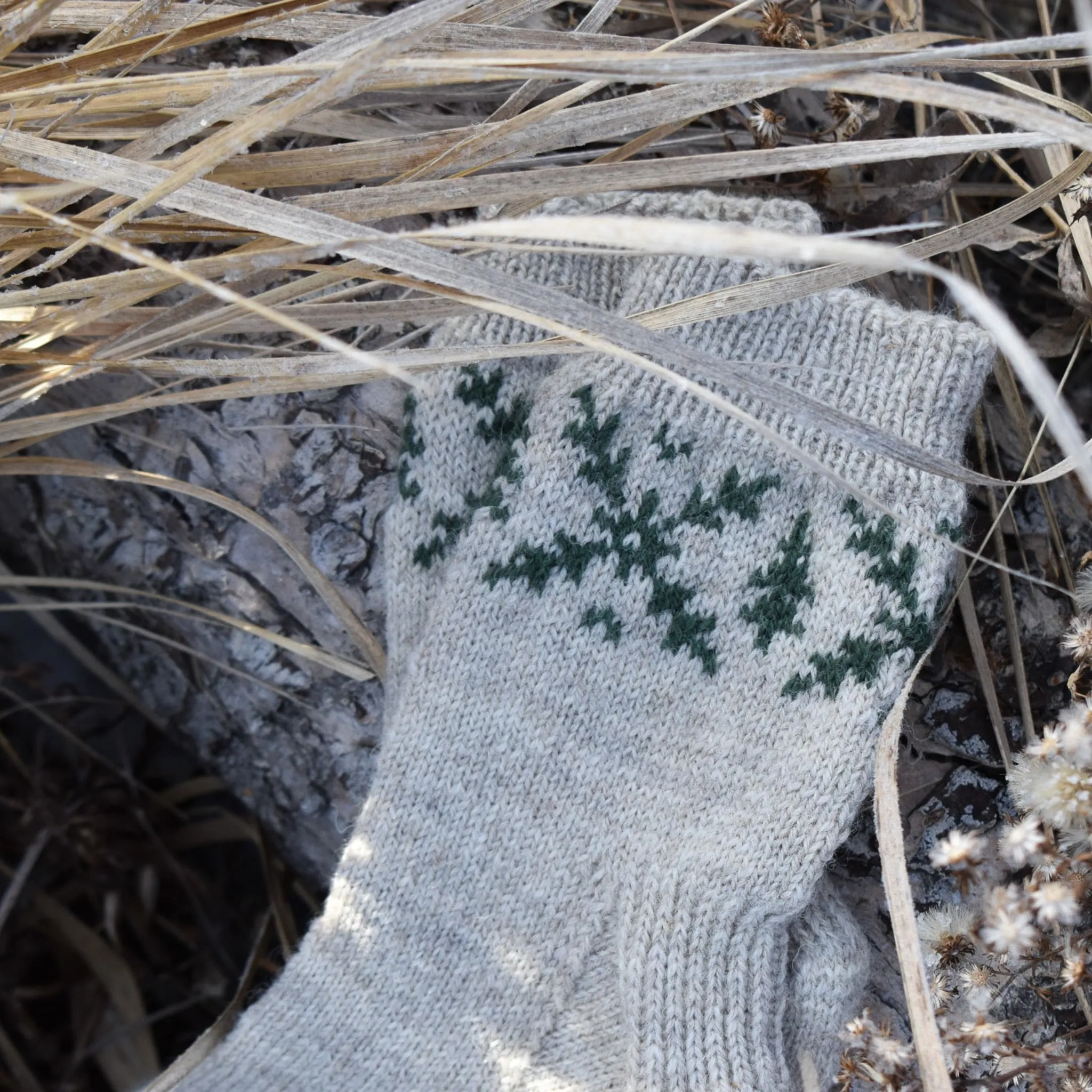 Forest Path Socks by Jessica McDonald in Rambler