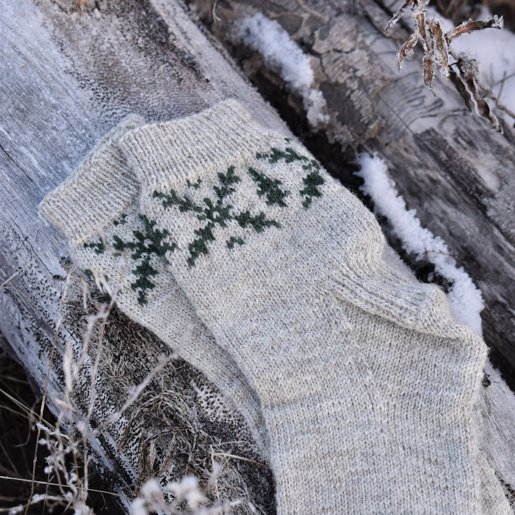 Forest Path Socks by Jessica McDonald in Rambler