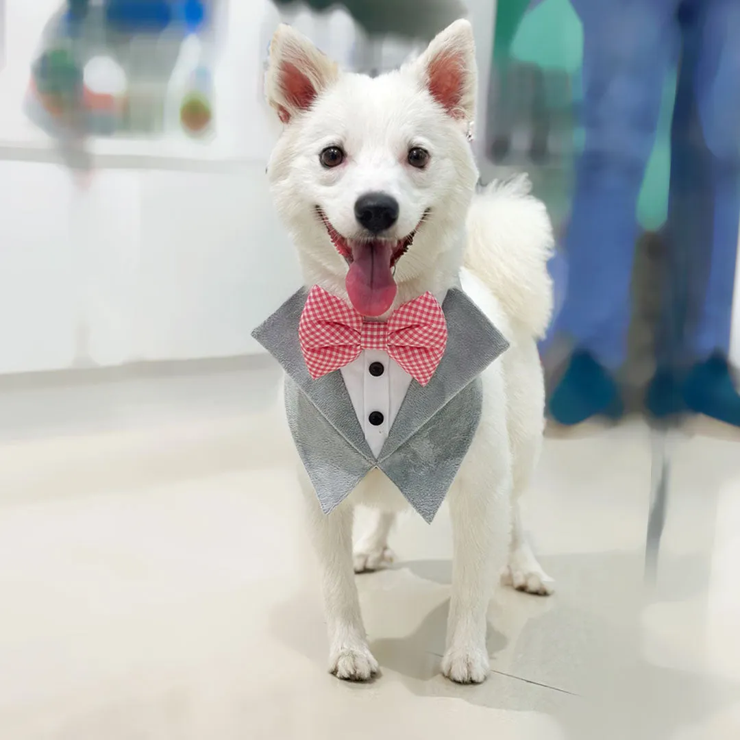 Gray Velvet Tuxedo Vest Bandana