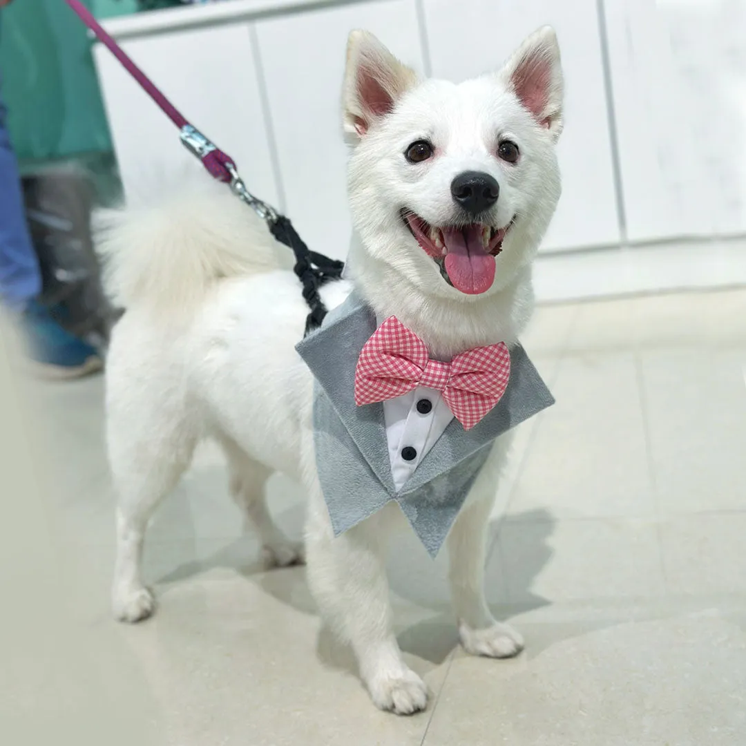 Gray Velvet Tuxedo Vest Bandana