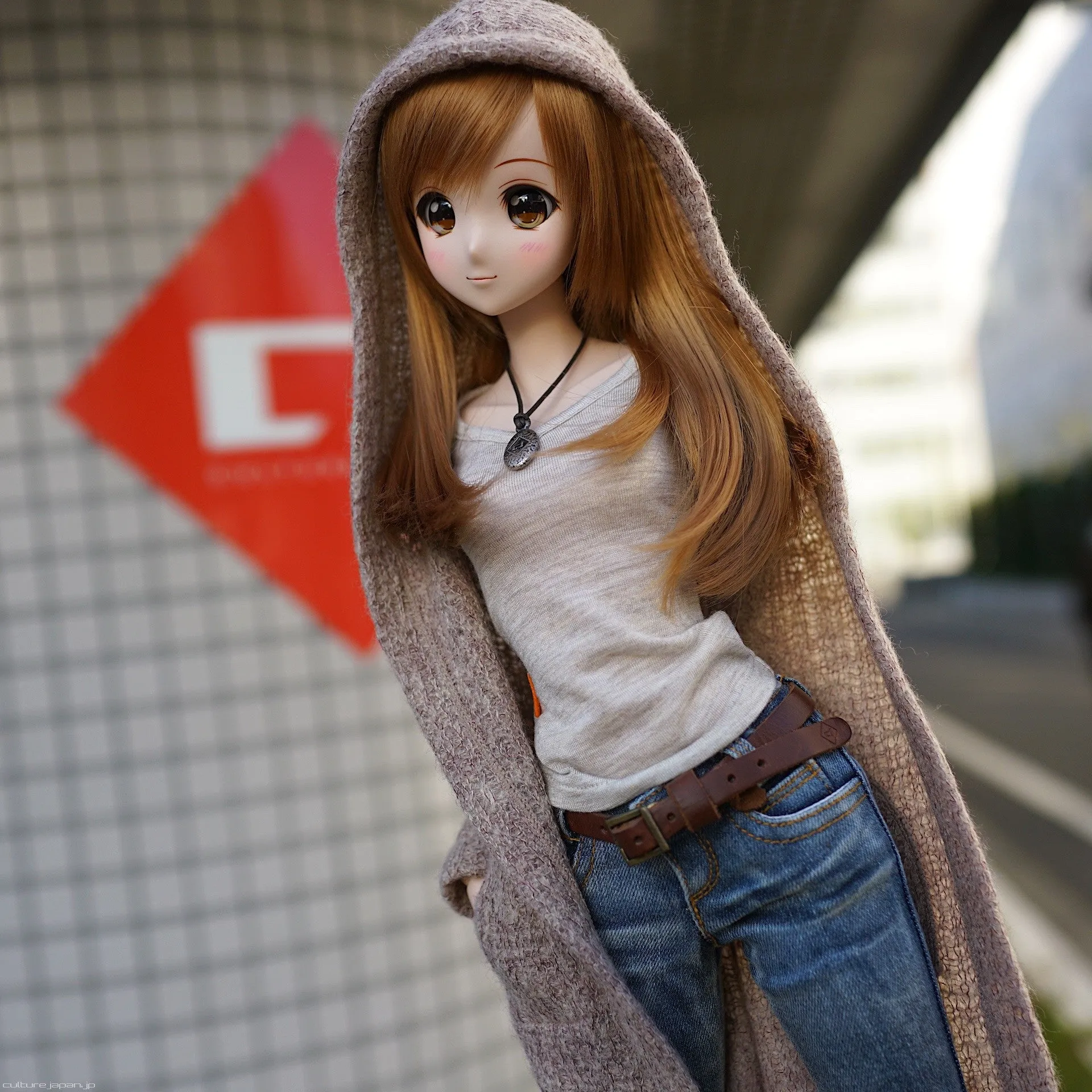 Hoodie Knit Coat (Rusty Brown)