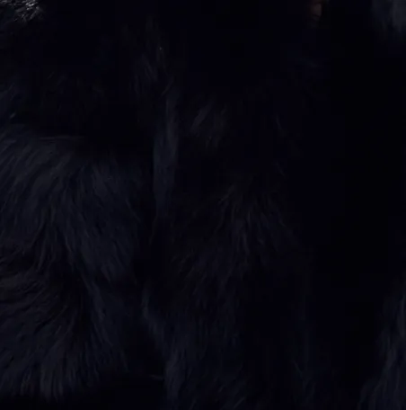 Le Chalet Fox Fur Coat