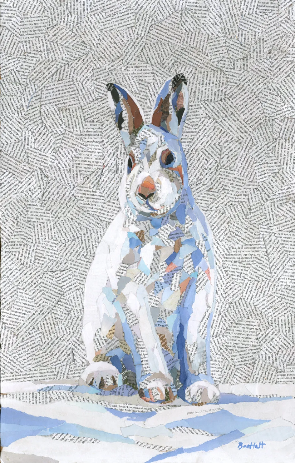 Limited edition Mountain Hare print by Paul Bartlett