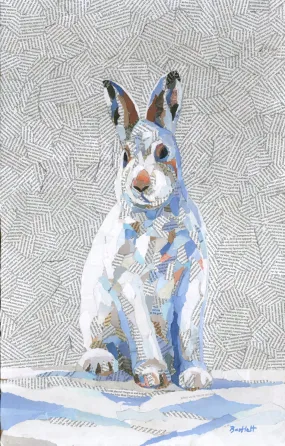 Limited edition Mountain Hare print by Paul Bartlett