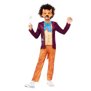 Roald Dahl Fantastic Mr Fox Boys Costume